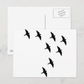 Carte Postale oiseaux noirs (Devant / Derrière)