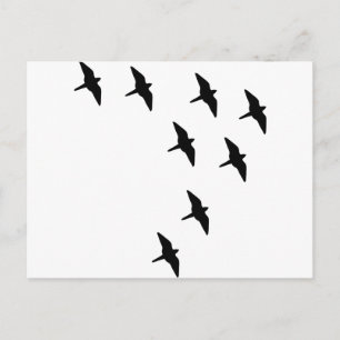 Carte Postale oiseaux noirs