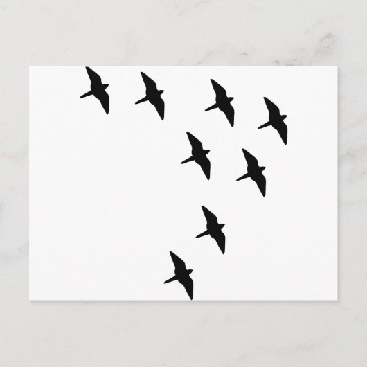 Carte Postale oiseaux noirs (Devant)
