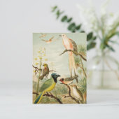Carte Postale Oiseaux nord-américains | Anton Goering (Debout devant)