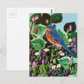 Carte Postale Oiseaux, Oiseaux et plus encore Oiseaux! (Devant / Derrière)