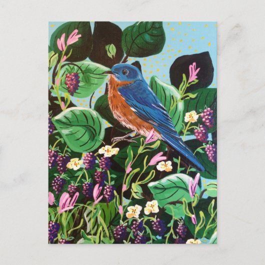 Carte Postale Oiseaux, Oiseaux et plus encore Oiseaux! (Devant)
