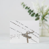 Carte Postale Oiseaux perchés sur fil (Debout devant)