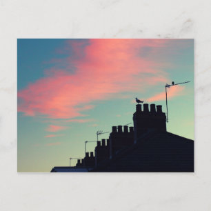 Carte Postale Oiseaux primitifs