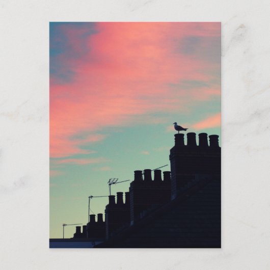 Carte Postale Oiseaux primitifs (Devant)
