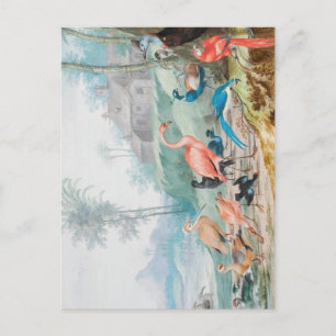Carte Postale Oiseaux Royaux