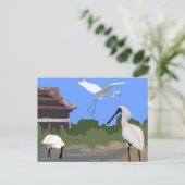 Carte Postale Oiseaux -- Spatules et Aigrettes (Debout devant)