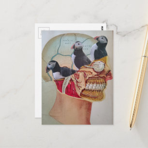 Carte Postale Oiseaux sur le cerveau collage de médias mixtes su