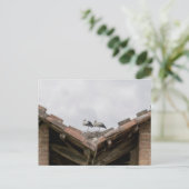 Carte Postale oiseaux sur le toit (Debout devant)