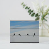Carte Postale Oiseaux sur un fil (Debout devant)
