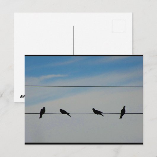 Carte Postale Oiseaux sur un fil (Devant / Derrière)