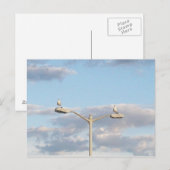 Carte Postale Oiseaux sur un lampadaire (Devant / Derrière)