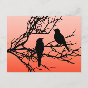 Carte Postale Oiseaux sur une branche, Noir contre le coucher du