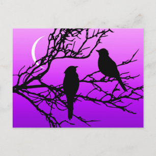 Carte Postale Oiseaux sur une branche, Noir contre le crépuscule