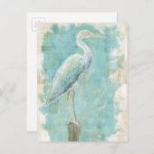 Carte Postale Oiseaux tropicaux | Aigt fixe (Devant / Derrière)