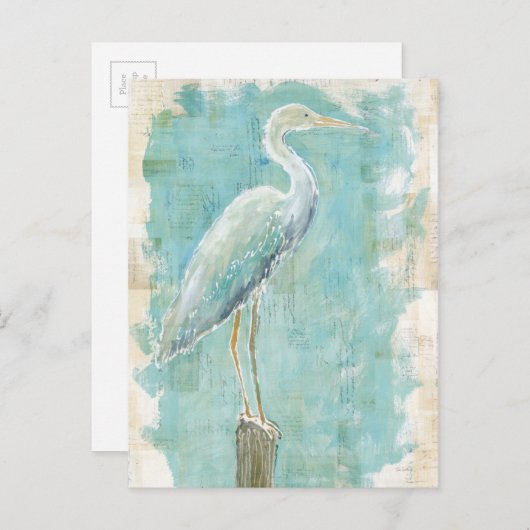 Carte Postale Oiseaux tropicaux | Aigt fixe (Devant / Derrière)