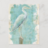 Carte Postale Oiseaux tropicaux | Aigt fixe (Devant)