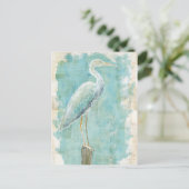 Carte Postale Oiseaux tropicaux | Aigt fixe (Debout devant)