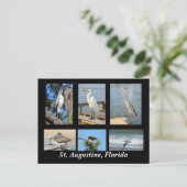 Carte Postale Oiseaux tropicaux de St Augustine, Floride (Debout devant)