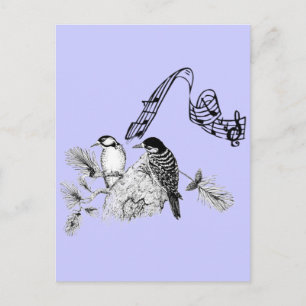 Carte Postale Oiseaux Vintage