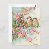 Carte Postale Oiseaux vintages (Devant / Derrière)