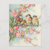 Carte Postale Oiseaux vintages (Devant)