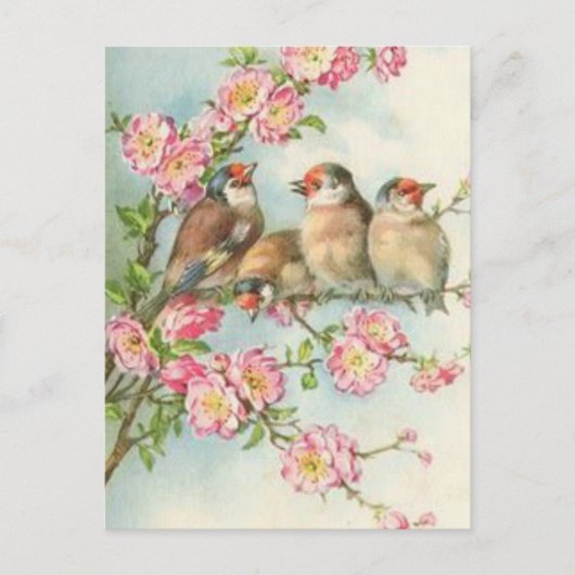Carte Postale Oiseaux vintages (Devant)