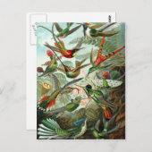 Carte Postale oiseaux vintages (Devant / Derrière)