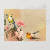 Carte postale Oiseaux vintages (Devant)