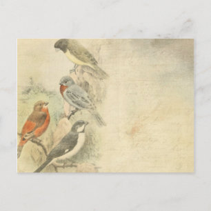Carte Postale Oiseaux vintages dans l'Arrière - plan de l'arbre
