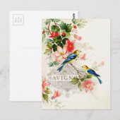 Carte Postale Oiseaux vintages Design français (Devant / Derrière)