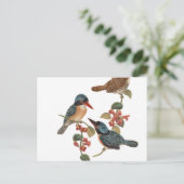 Carte Postale Oiseaux vintages en Branche (Debout devant)