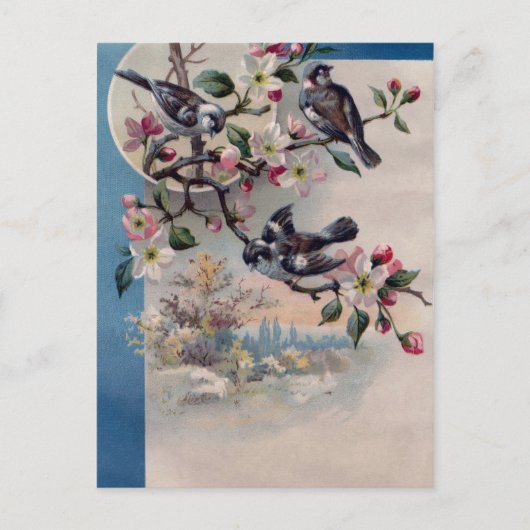 Carte Postale Oiseaux vintages et fleurs (Devant)