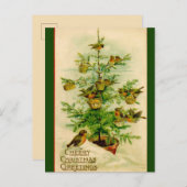 Carte Postale Oiseaux vintages Noël Salutation joyeuse (Devant / Derrière)