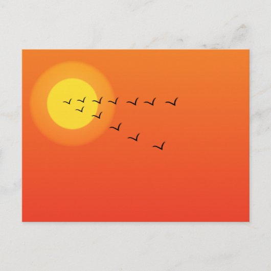 Carte Postale Oiseaux volant vers le soleil (Devant)