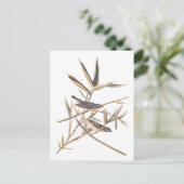 Carte Postale Oiseaux volants Vireo solitaire d'Audubon sur la c (Debout devant)