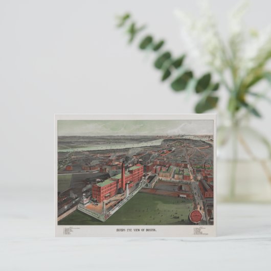 Carte Postale Oiseaux Vue oeil de Boston (Debout devant)