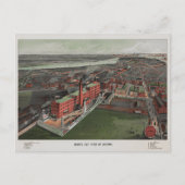 Carte Postale Oiseaux Vue oeil de Boston (Devant)