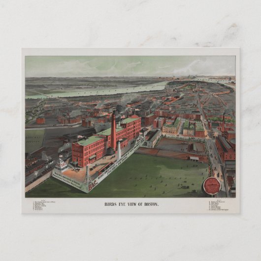 Carte Postale Oiseaux Vue oeil de Boston (Devant)