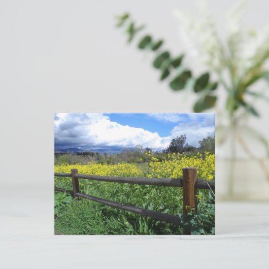 Carte Postale Ojai Meadows (Debout devant)