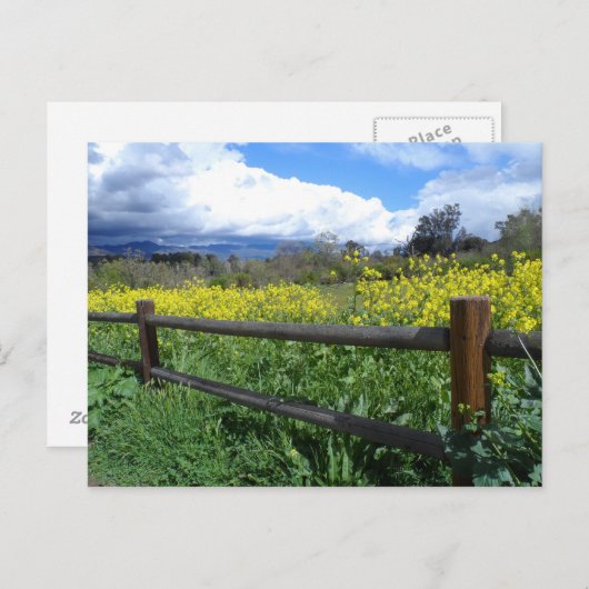 Carte Postale Ojai Meadows (Devant / Derrière)
