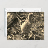 Carte Postale Ok, Au revoir ! - (Devant / Derrière)