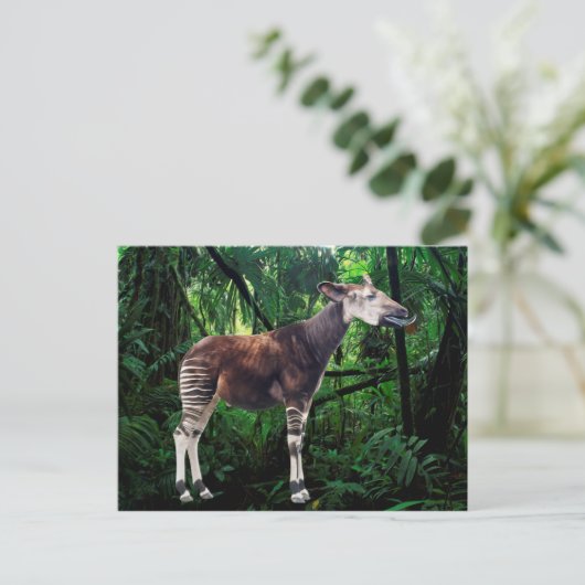 Carte Postale Okapi (Debout devant)