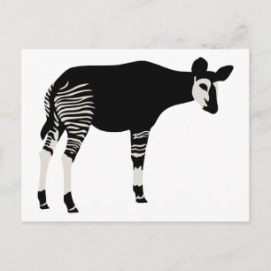 Carte Postale Okapi