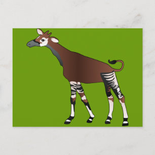 Carte postale Okapi