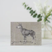 Carte Postale Okapi vintage (Debout devant)