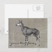 Carte Postale Okapi vintage (Devant / Derrière)