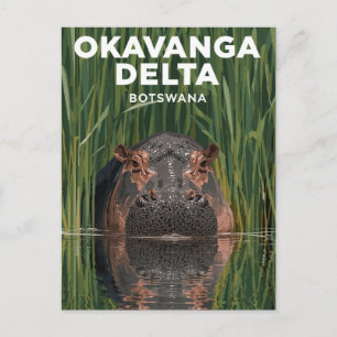 Carte Postale Okavanga Delta Botswana Hippopotame Voyages Faune