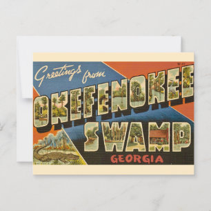 Carte postale Okefenokee Swamp GA