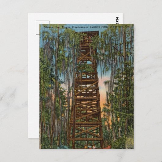 Carte Postale Okelenokee Swamp Park, Waycross, Géorgie (Devant / Derrière)